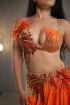 Professional bellydance costume (Classic 357A_1)